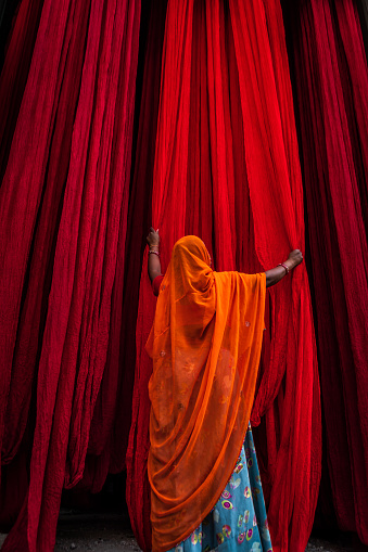 Indian woman checking freshly dyed fabric hanging to dry, sari factory, Rajasthan, India, Asia