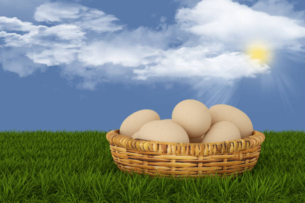 3D illustration. Spring, Summer, Easter. Basket of eggs with meadow and butterflies, in the background sky and trees. Daisies and flowers color the green lawn.