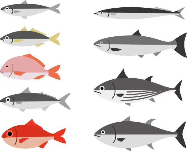 Vector illustration of fish P