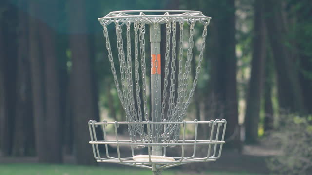 Disc Landing in Metal Chain Basket on Forest Golf Course