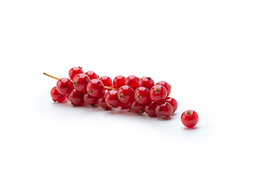 Fruit: Red Currant Isolated on White Background, studio shot