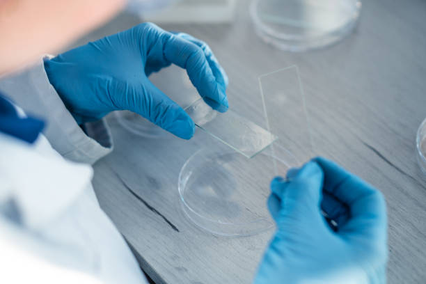 istock Medical science laboratory with biotech scientist developing medicine, female biochemist working at computer in pharmaceutics. Research of medical analyzes and experiments. Rear and side view Shot 1475231564