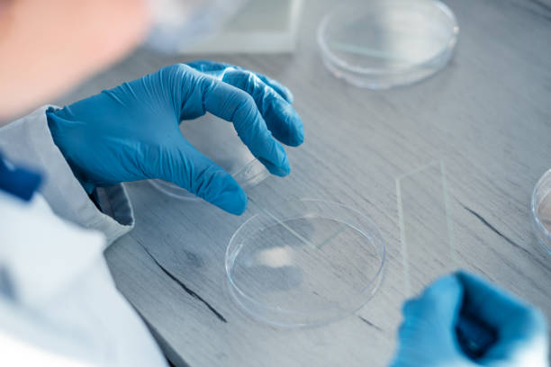 istock Medical science laboratory with biotech scientist developing medicine, female biochemist working at computer in pharmaceutics. Research of medical analyzes and experiments. Rear and side view Shot 1475231565
