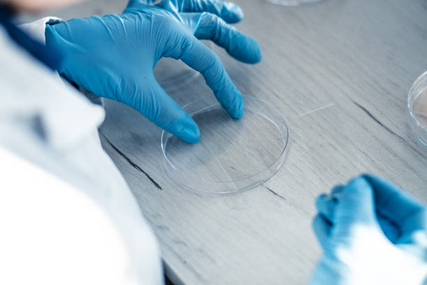 istock Medical science laboratory with biotech scientist developing medicine, female biochemist working at computer in pharmaceutics. Research of medical analyzes and experiments. Rear and side view Shot 1475231568