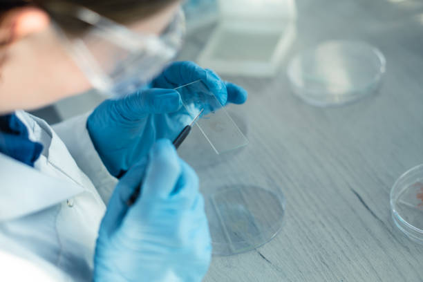 istock Medical science laboratory with biotech scientist developing medicine, female biochemist working at computer in pharmaceutics. Research of medical analyzes and experiments. Rear and side view Shot 1475231577