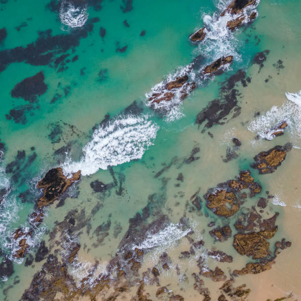 istock Wave patterns on a beach from above, Narooma, NSW, January 2023 1475231831