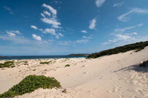 istock Sand dunes at the beach 1475232055