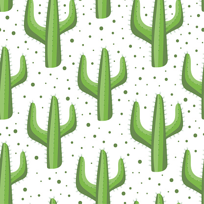 Cactus seamless pattern. Isloated on white background. Good for textile print, wrapping and wall paper design.