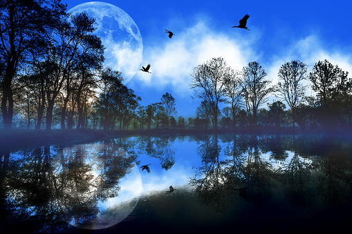 Earth, supermoon, water, trees, birds and ecological environment