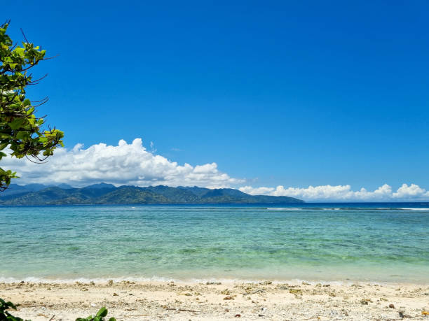 nature is beautiful. the nature of the island of Gili Trawangan that makes the heart always happy nature is beautiful. the nature of the island of Gili Trawangan that makes the heart always happy gili trawangan stock pictures, royalty-free photos & images