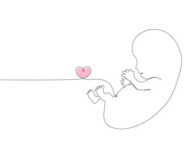 Vector illustration of Human embryo with a heart and copy space. One line style on a white background.