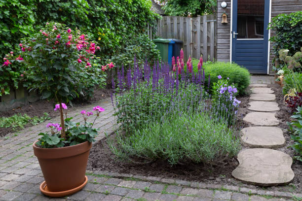 istock Small backyard with flowering plants and a wooden shed. 1475245344