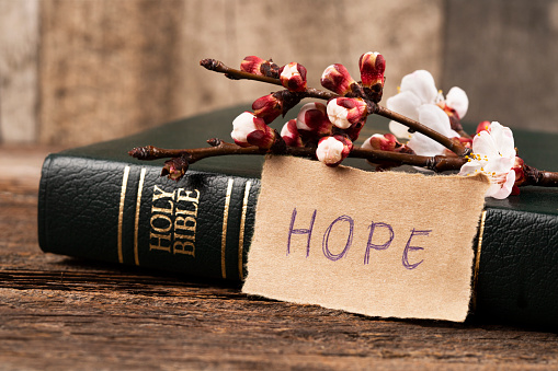 Bible and word HOPE