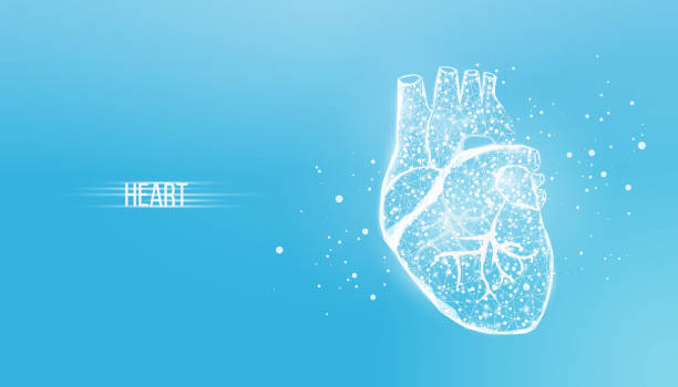 istock Human heart. Wireframe low poly style. Concept for medical science, cardiology illness. Abstract modern 3d vector illustration on blue background 1475248762