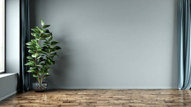 istock Empty room interior background, blue wall, pot with plant, wooden flooring 3d rendering 1475250757