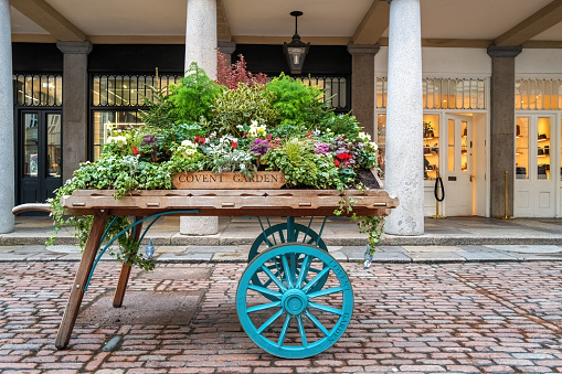 Old fashioned wooden barrow with boxes of flowers, outside the stores of the world famous Covent Garden Market, London.