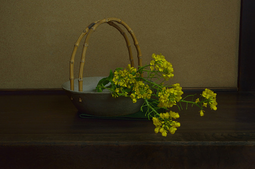 Canola Flowers in the Vase/Studio Shot/the vase is hand-made