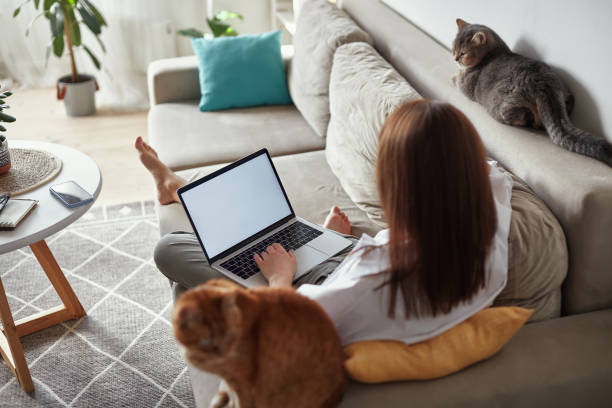 istock Mockup white screen laptop woman using computer and two pet cat lying on sofa at home, back view, focus on screen 1475253347