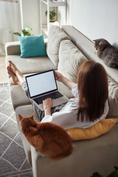 istock Mockup white screen laptop woman using computer and two pet cat lying on sofa at home, back view, focus on screen 1475253410