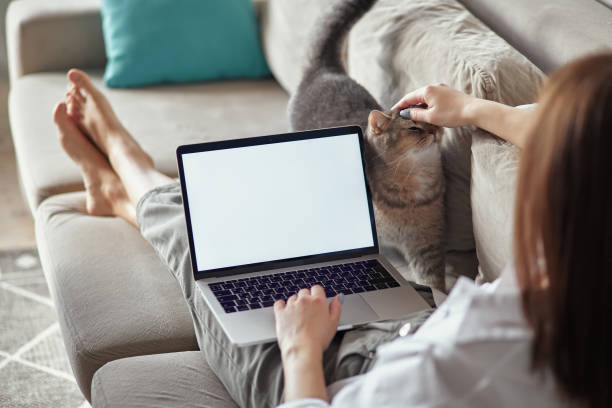 istock Mockup white screen laptop woman using computer and pet cat lying on sofa at home, back view, focus on screen 1475254964