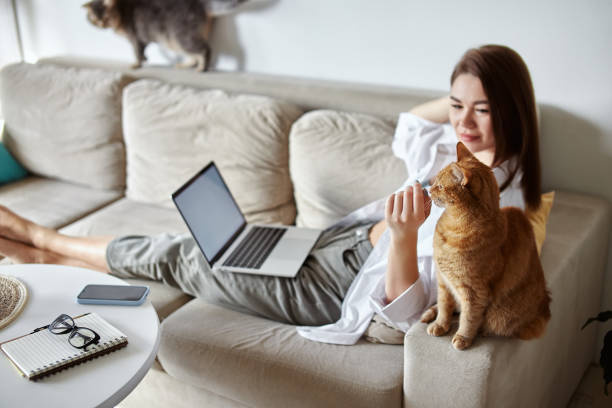 istock Mockup white screen laptop woman using computer and two pet cat lying on sofa at home 1475255789