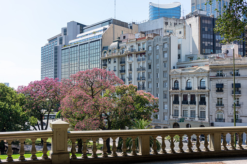 Buenos Aires, Argentina - June 02, 2019. View of Puerto Madero district. Buenos Aires cityscape.