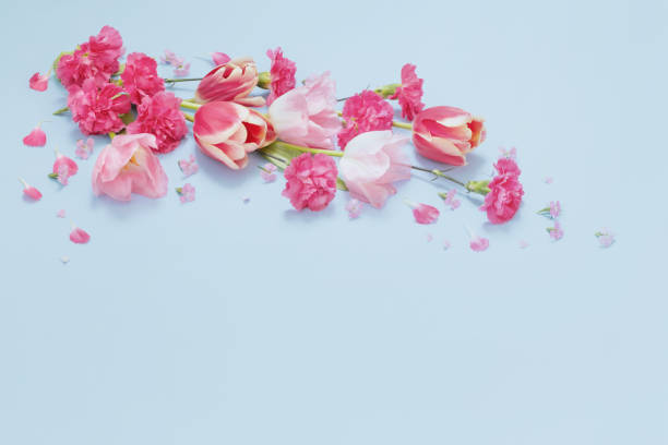 istock beautiful spring flowers on blue background 1475268369