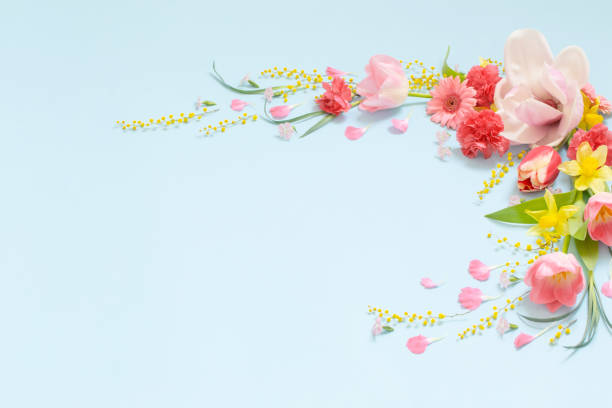 istock beautiful spring flowers on blue background 1475268819
