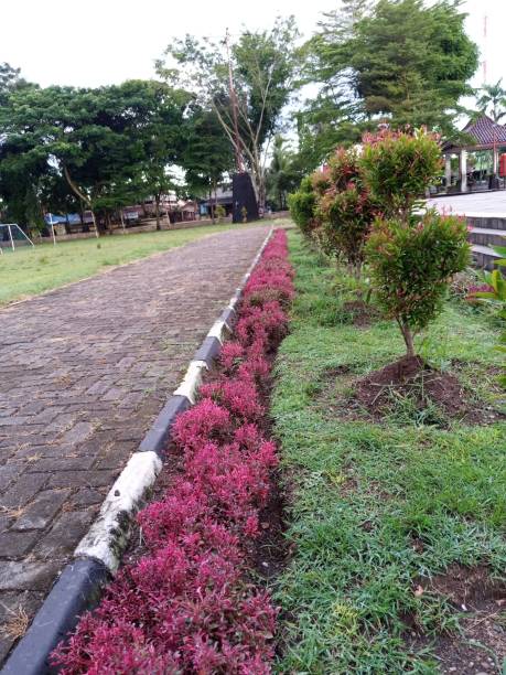 istock Pedestrian path beside flower garden 1475270719