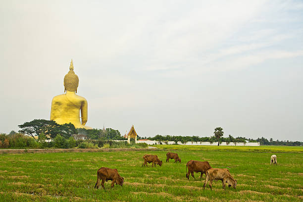 istock Big buddha statue at Wat muang, Thailand 147527199