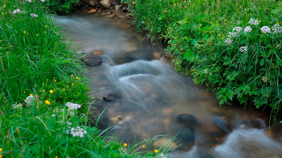 Corriente de agua y naturaleza photo