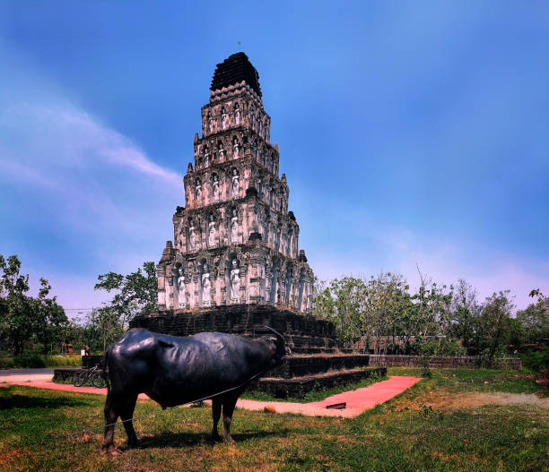 istock Buffalo at Stupa, Ancient City 1475283796