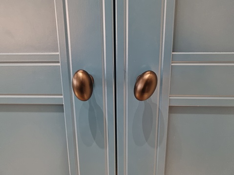 Cabinet Door with Handle