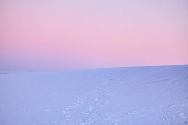 Colourful pink sunset over a snowy landscape.