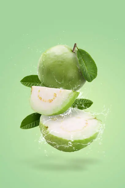 Creative layout made form whole and slice of Guava fruit and water splashing on a green background.