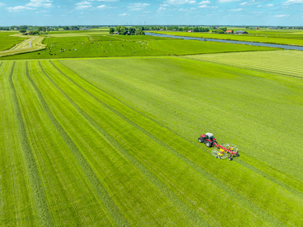 Tractor pulling a rotary rake to collect hay from a grass meadow seen from above stock photo