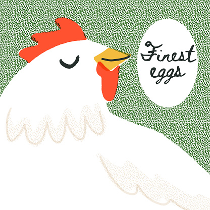 Cute smiling chicken near the egg with a place for text. Retro-style artistic advertising banner, poster with the Finest eggs text. Easter symbol. Hand-drawn happy rooster. Vector illustration.