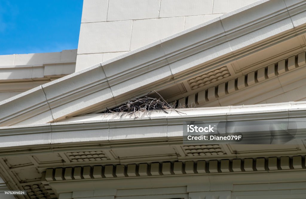 Bird nest hidden high in a building eve A birds nest is delicately tucked safely away in the triangular shaped corner of an eve. The building sports various architectural lines and shapes. Bird's Nest Stock Photo
