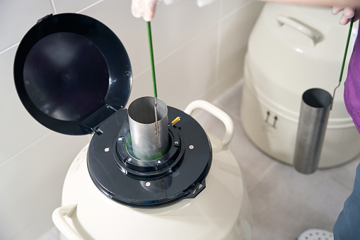 Man works in a modern cryostorage, he puts the biomaterial into a tank with liquid nitrogen