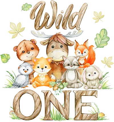 moose, squirrel, owl, fox, raccoon, bunny, bear, mushroom leaves, text, wild one. Watercolor clipart, for the first birthday.