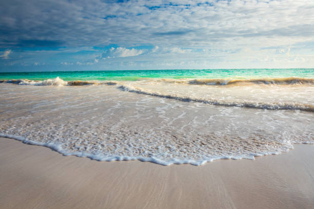 istock Idyllic Caribbean tropical beach of Cancun, Riveira Maya, Mexico 1475307366