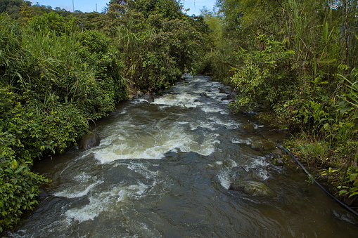 View of Rio Mindo in the south of Mindo, Ecuador, South America