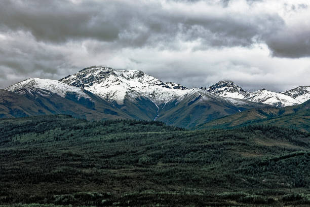 Alaska Range mountains in Denali National Park and Preserve in Summer with dark, gray storm clouds over the mountains.