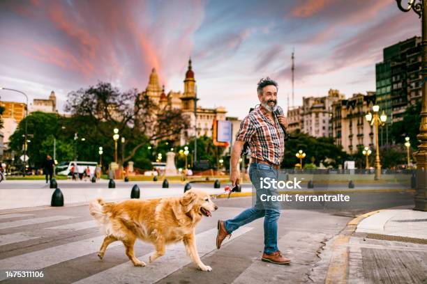 Mature Man Walking Golden Retriever In The City Stock Photo - Download Image Now - Mature Men, Walking, Buenos Aires