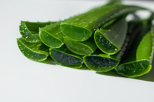 Sliced green aloe vera plant