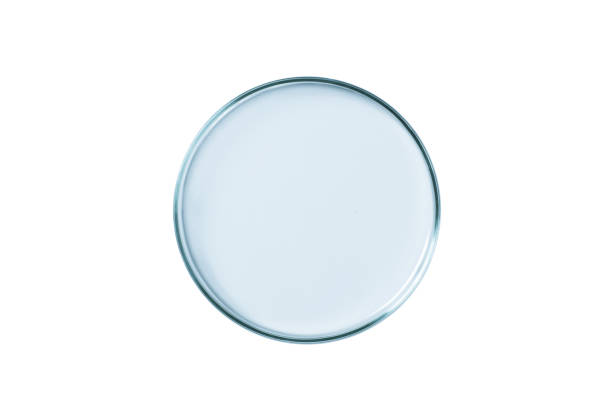 istock Petri dish empty blue glass isolated. 1475318944