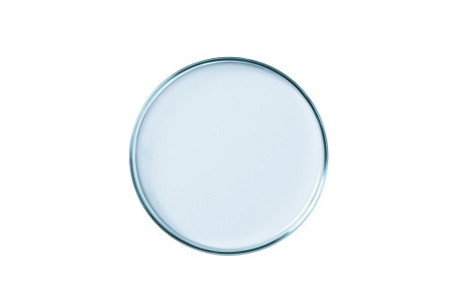 Petri dish empty blue glass isolated.