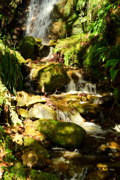 istock Waterfall in woodland sunlight 1475321433