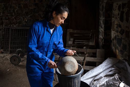 A shot of a multicultural female farmer standing in a barn preparing animal feed for livestock by hand. The animal pellets are made from waste hops from a brewery. This contributes to a circular economy. Reducing GHG emissions associated with carbon utilization of feed ingredients can provide significant reductions in the environmental footprint of pork production.