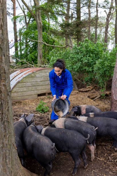 istock Animal Nutrition Is a  Priority On Her Farm 1475325479